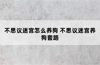 不思议迷宫怎么养狗 不思议迷宫养狗套路